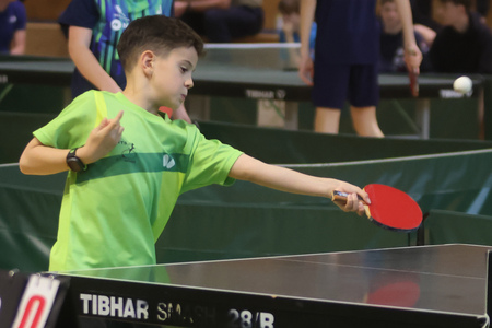 DRŽAVNO PRVENSTVO V NAMIZNEM TENISU 24 FOTO LJUBO VUKELIČ